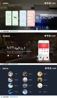 軟件科技產品介紹ppt